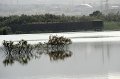 14.5.2012 Saline di Priolo (371)